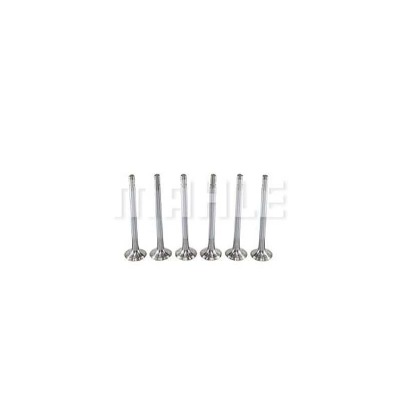 MAHLE_VE0480003STD