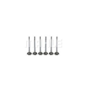 MAHLE_VE0480005STD