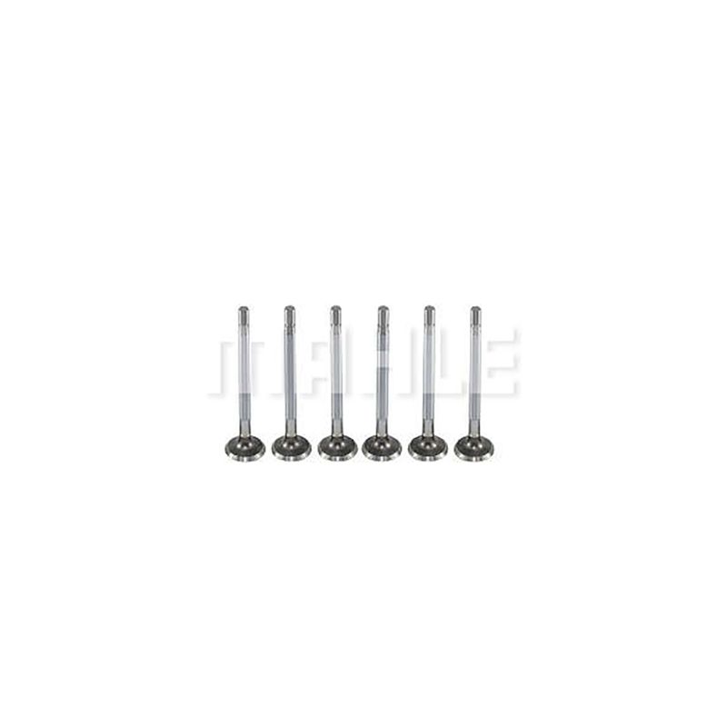 MAHLE_VE0480005STD